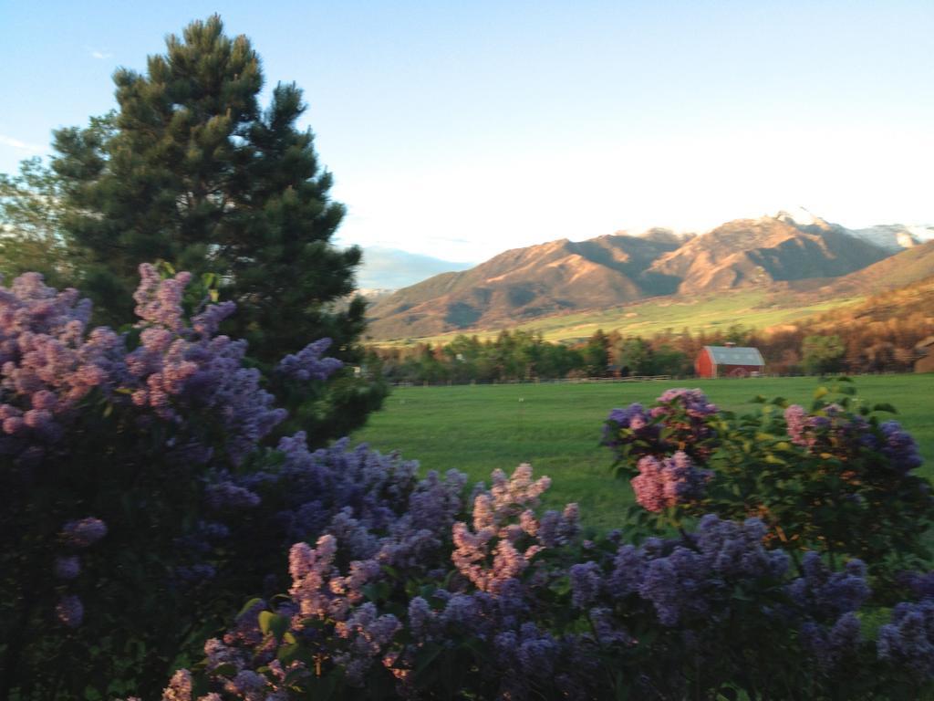 Pine Creek Cabin Livingston Montana Exterior foto